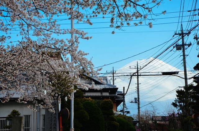 假期历险记 视频缩略图