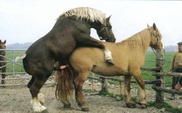 向阳处的她 视频缩略图