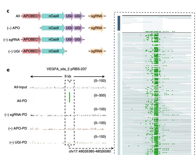 冰雪女王5：融冰之战 视频缩略图