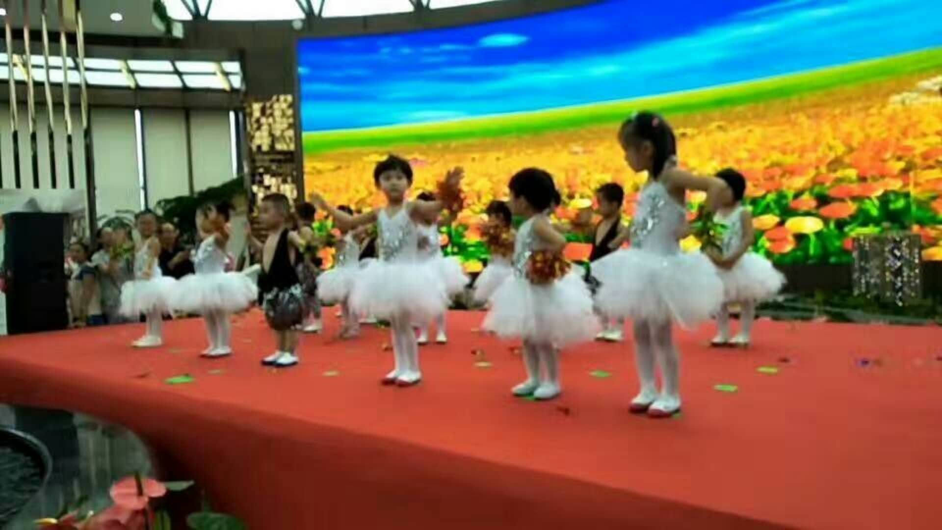 29岁美好人生 视频主图