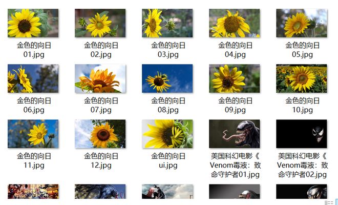 佩剑将军 视频缩略图