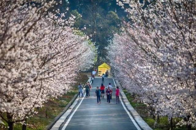 你行......你结婚？ 视频缩略图