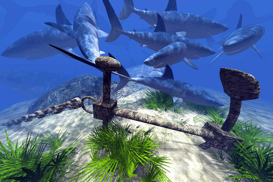 乘列车前行 视频主图