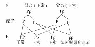 侏罗纪游戏：灭绝 视频缩略图