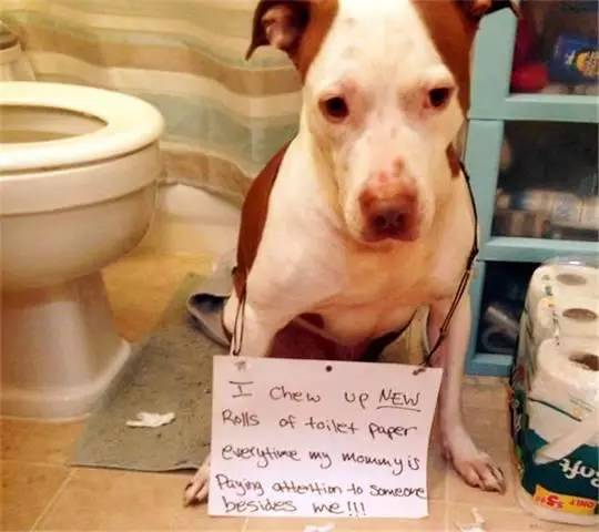 商战 视频缩略图