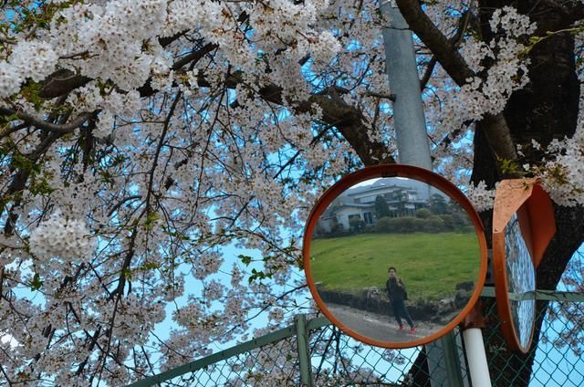 冒牌财神爷 视频缩略图