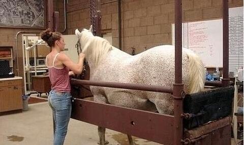 你我之间 视频海报