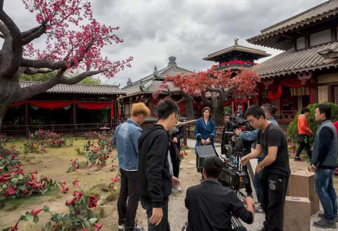 伊丽莎 施莱辛 不同的动物 视频缩略图