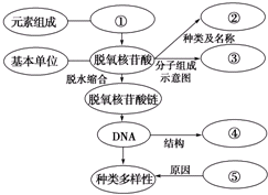 冰封侠：时空行者 普通话版 视频缩略图